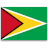 Guyana  application form for Nigeria residents.