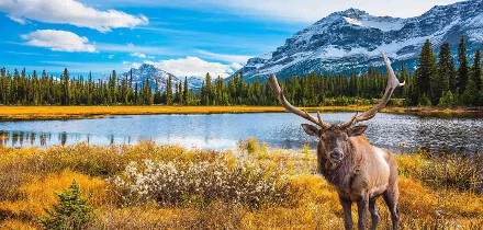 Visa requirements for Nigeria passport holders traveling to Canada